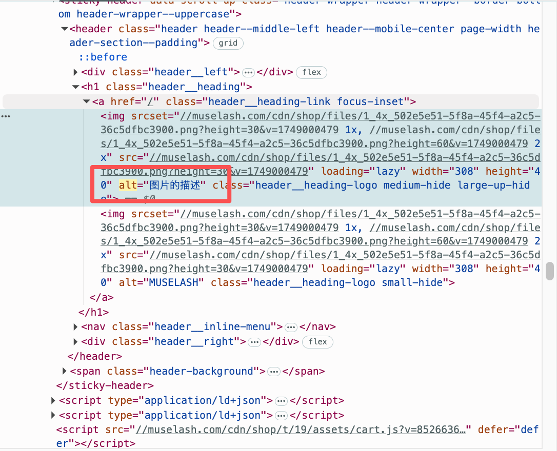 站内 SEO 图片 Alt 与开发者工具示意图
